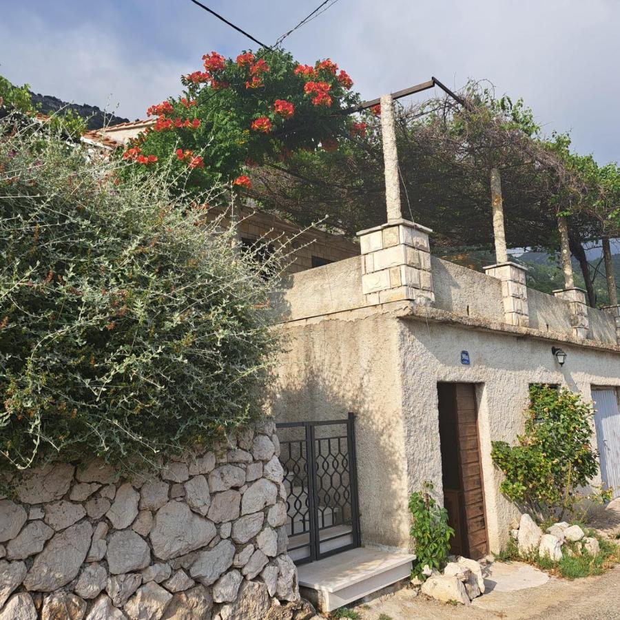 Guest House Tanja Babino Polje Екстериор снимка